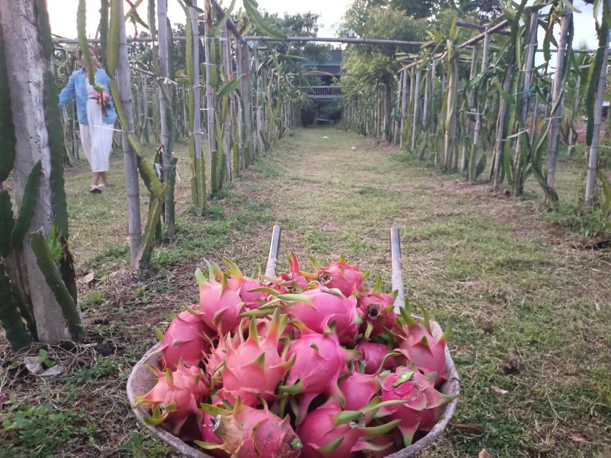 Vongkham Eco Resort Vientiane Eksteriør billede